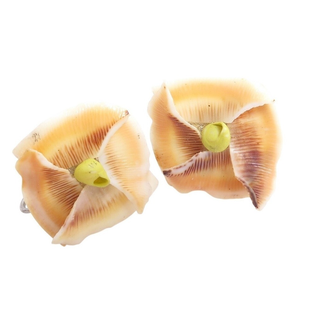 Vintage 1940's Orange Purple White Yellow Shell Art Handmade Screwback Earrings